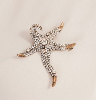 Aşina Gümüş - Deniz Yıldızı Elmas Montur Broş Sevgiliye Hediye